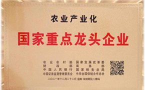 世界杯比赛买输赢(中国)官方网站官方